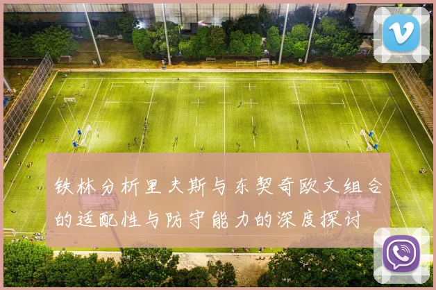 铁林分析里夫斯与东契奇欧文组合的适配性与防守能力的深度探讨